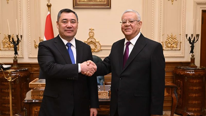 المستشار الدكتور