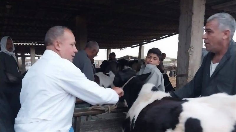 جانب من التطعيم ضد