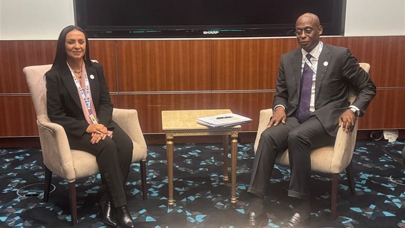 الدكتورة مايا مرسي