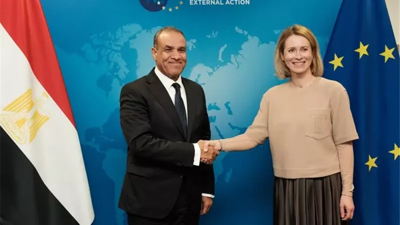 وزير الخارجية المصري