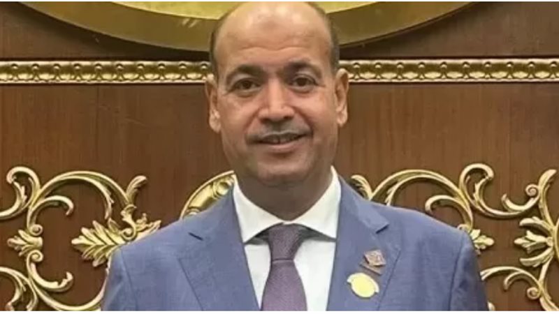 النائب احمد السيد