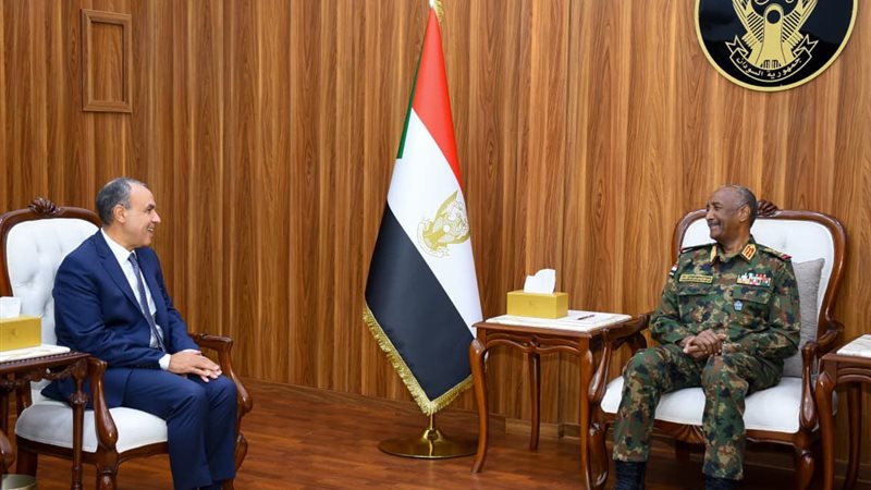 وزير الخارجية يلتقي