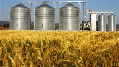 «التموين»: الاحتياطي الاستراتيجي من السلع الأساسية آمن.. وتزايد بالاعتماد على القمح المحلي