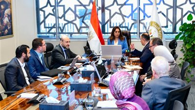 وزيرة التنمية المحلية تتابع مستجدات منظومة التحول الرقمي للسجل البيئي للمنشآت الصناعية