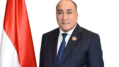 عمرو رشاد: خطاب السيسي في دافوس قدم رؤية مصر الشاملة للاستقرار والنمو