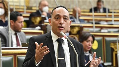 عضو مجلس النواب يطالب بالكشف عن تفاصيل المخالفات الانتخابية ومحاسبة المتورطين