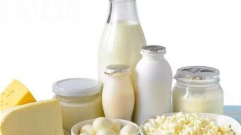 أسعار الألبان