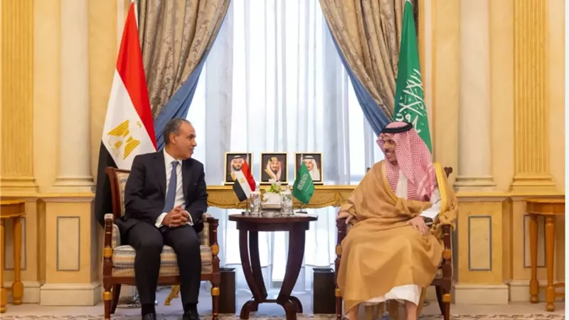 وزير الخارجية المصري