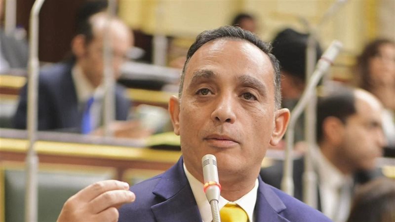 النائب د. فريدي البياضي،