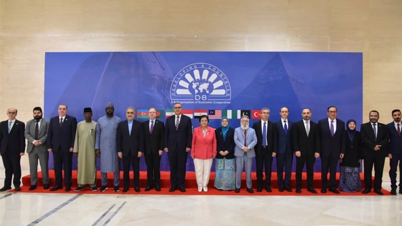  مجموعة دول 8 النامية