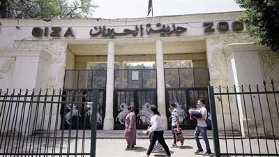 مفاجأة لعشاق الحيوانات.. موعد إعادة افتتاح حديقة الحيوان بالجيزة 2025