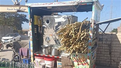 ضبط وإعدام أطنان من الأغذية الفاسدة وحملات مكثفة لحماية المواطنين بالمنوفية