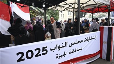 المصريون في الخارج يواصلون التصويت في المرحلة الثانية ل13 محافظة 