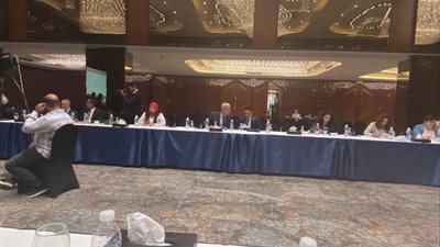 رئيس المنظمة العربية لحقوق الإنسان يصف مصر بـ 