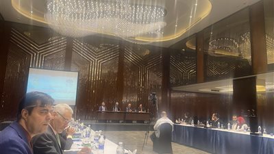 “أحمد بدوي