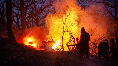 حريق يلتهم غابات الهيركانية الإيرانية المسجلة على قائمة التراث العالمي