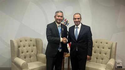 وزير الخارجية يلتقي بنظيرته السنغافورية لتعزيز التعاون الثنائي.. وتبادل الرؤي بالقضايا الإقليمية 