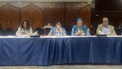 تحديد المفاهيم ودور مصر..  قراءة في قانون الهجرة واللجوء المقترح