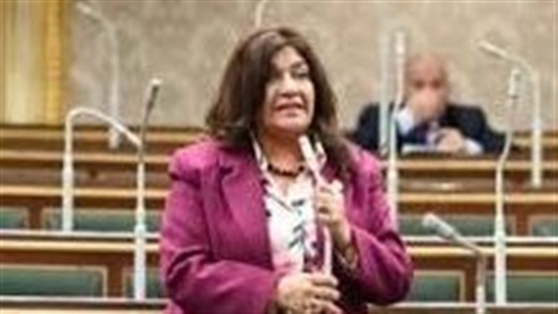 النائبة إيفلين متى