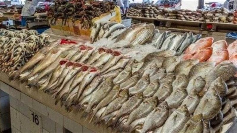 سعر السمك اليوم