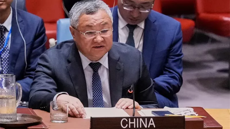 السفير الصيني لدى