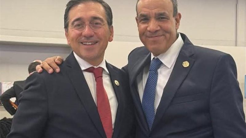 وزير الخارجية 