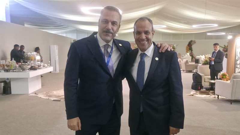 وزيرا خارجية مصر