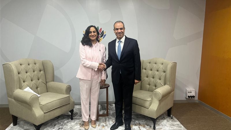 وزير الخارجية المصري