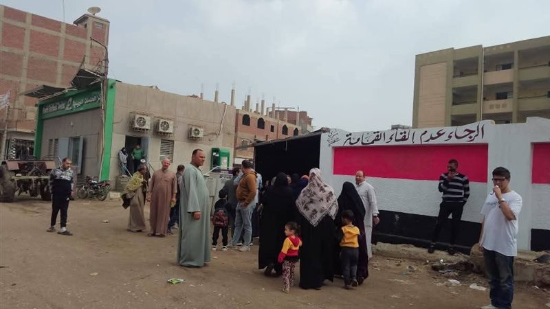 مدينة منيا القمح