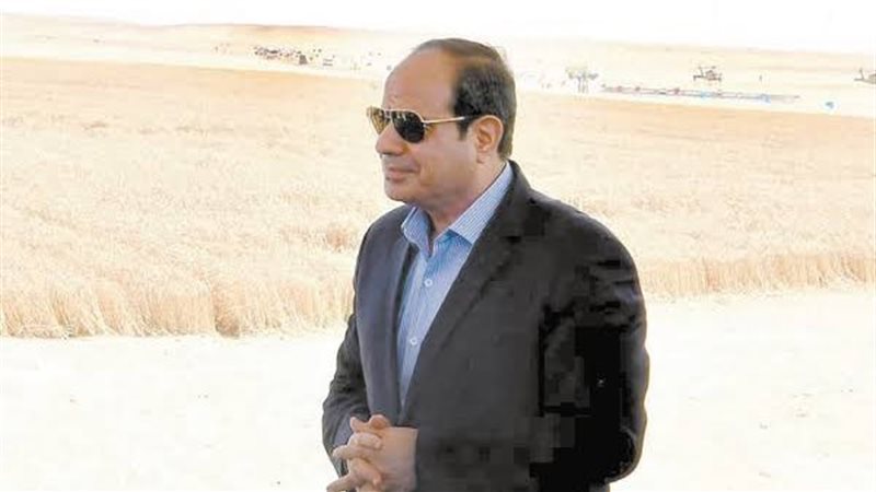 الرئيس السيسي 