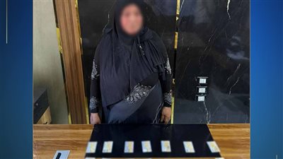 ضبط سيدة بحوزتها بطاقات شخصية لمحاولة التأثير على الناخبين في كفر الشيخ