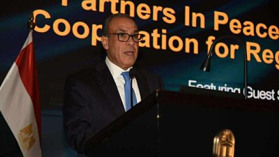 وزير الخارجية: مصر ترفض الحل العسكري في غزة وتواصل جهودها الإنسانية والدبلوماسية