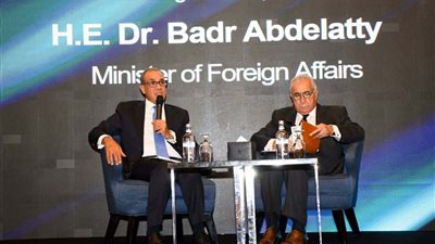 وزير الخارجية: استقرار البحر الأحمر أساسي لضمان الملاحة والتجارة العالمية