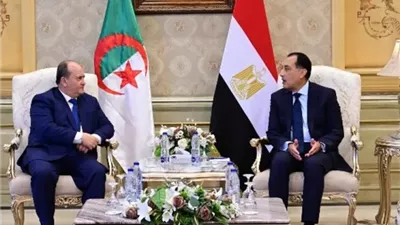 توافق مصري جزائري على ضرورة إقامة الدولة الفلسطينية المستقلة