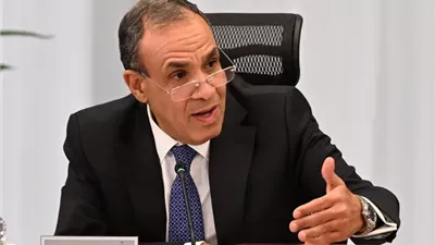 وزير الخارجية المصري يدعو إلى تجنّب أي خطوات قد تهدد أمن لبنان واستقراره