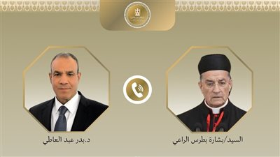 وزير الخارجية المصري يجري اتصالًا هاتفيًا مع البطريرك الماروني خلال زيارته بيروت