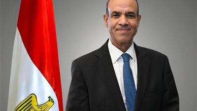وزير الخارجية: القاهرة حريصة على الانخراط الكامل في الشأن اللبناني 