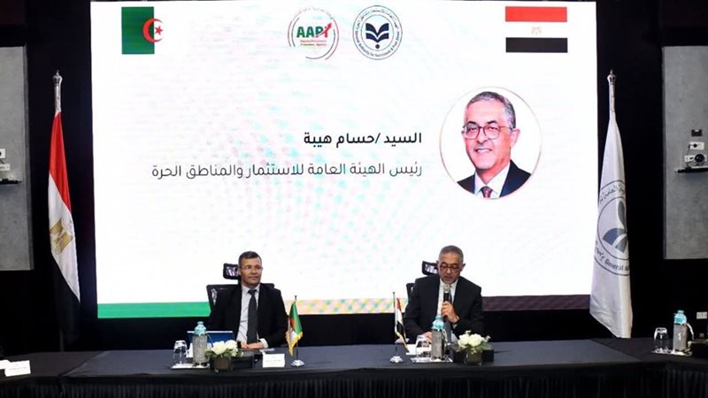 اللجنة العليا المصرية