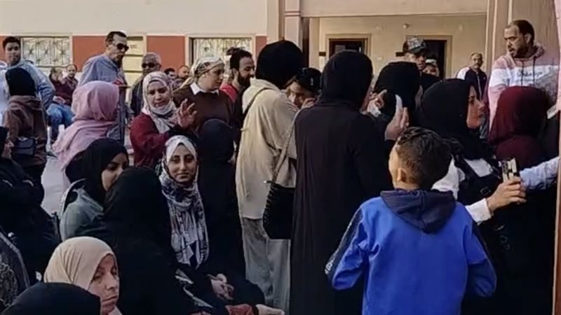 الدائرة السادسة المنوفية