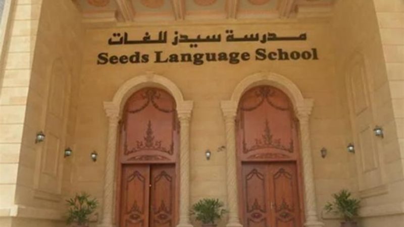 سيدز الدولية