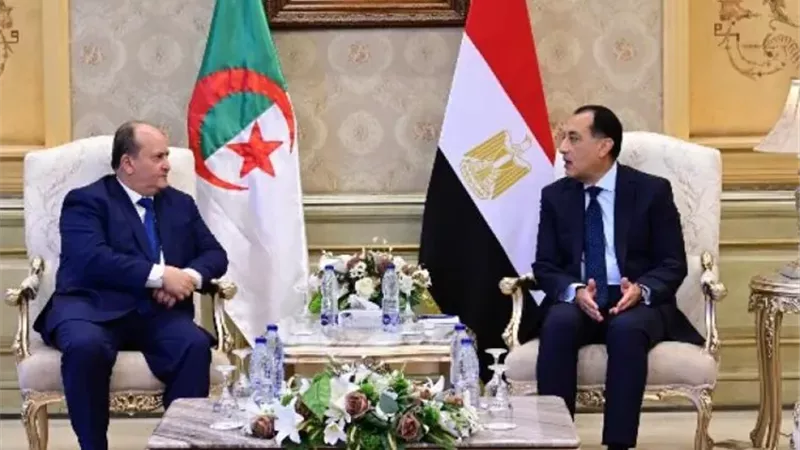 رئيس الوزراء المصري