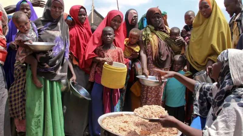 العائلات الصومالية