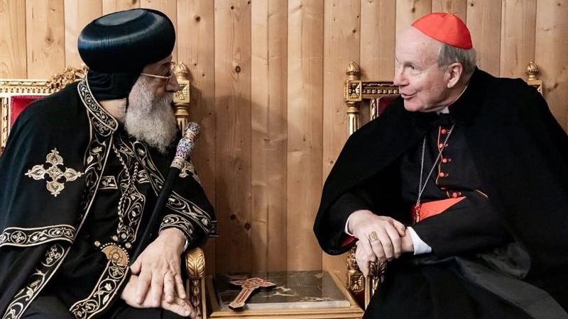  البابا أثناء استقباله