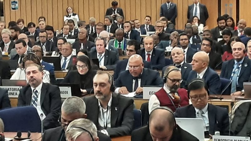 الدولة المصرية 