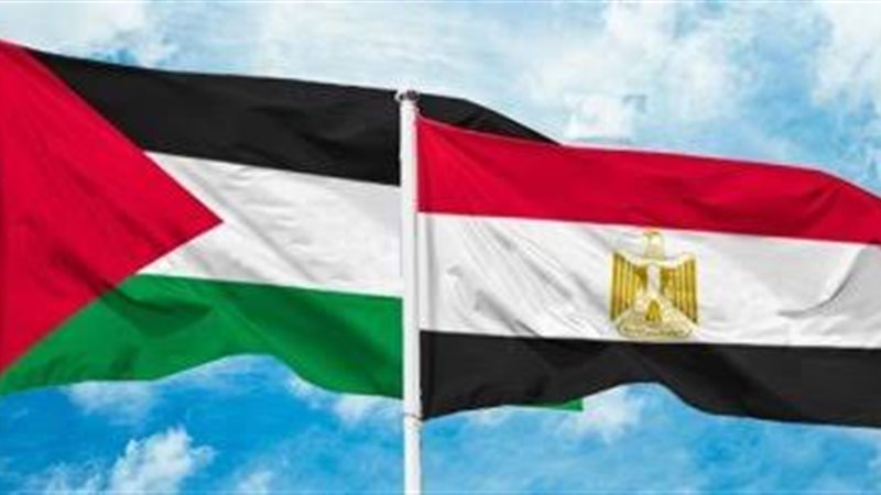 تضامن مصر مع فلسطين