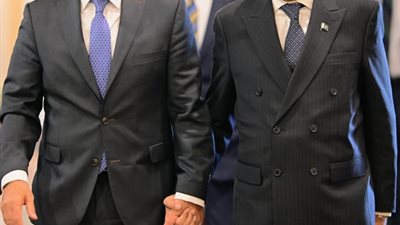 وزير الخارجية المصري يؤكد لنظيره الباكستاني أهمية العلاقات الثنائية بين البلدين يمختلف المجالات