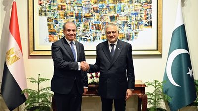 محادثات رسمية بين مصر وباكستان لتعزيز التعاون الاستثماري ومكافحة الإرهـ.ـاب وتطورات غزة