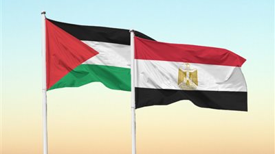 اللجنة المصرية في غزة تواصل عمليات الإغاثة