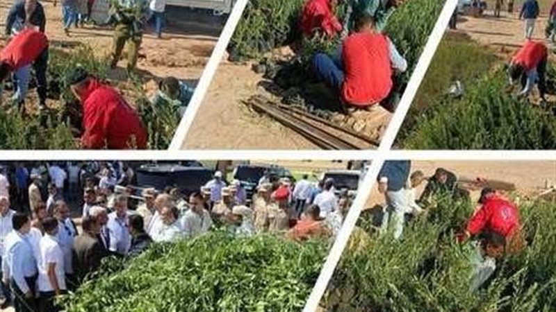 وزارة الزراعة: مركز