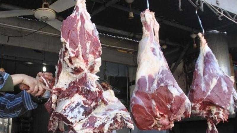 اسعار اللحوم اليوم